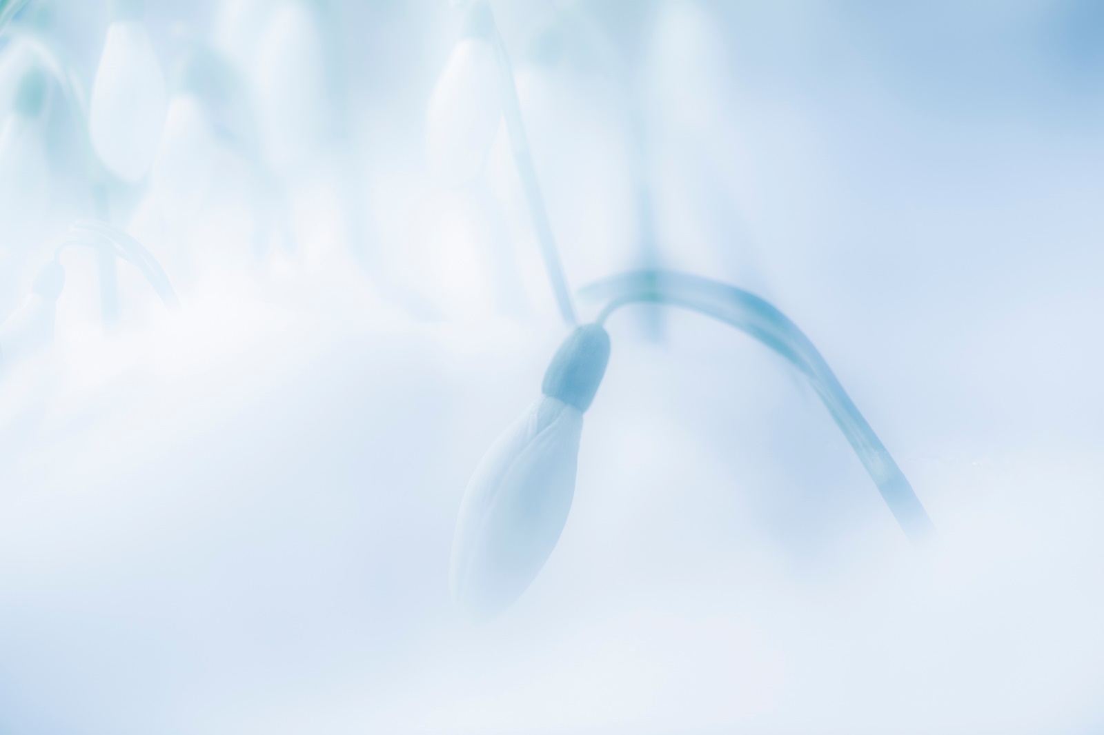 4. Platz Robert Seitz